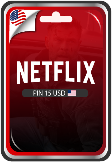 PIN DE NETFLIX USD 15USD